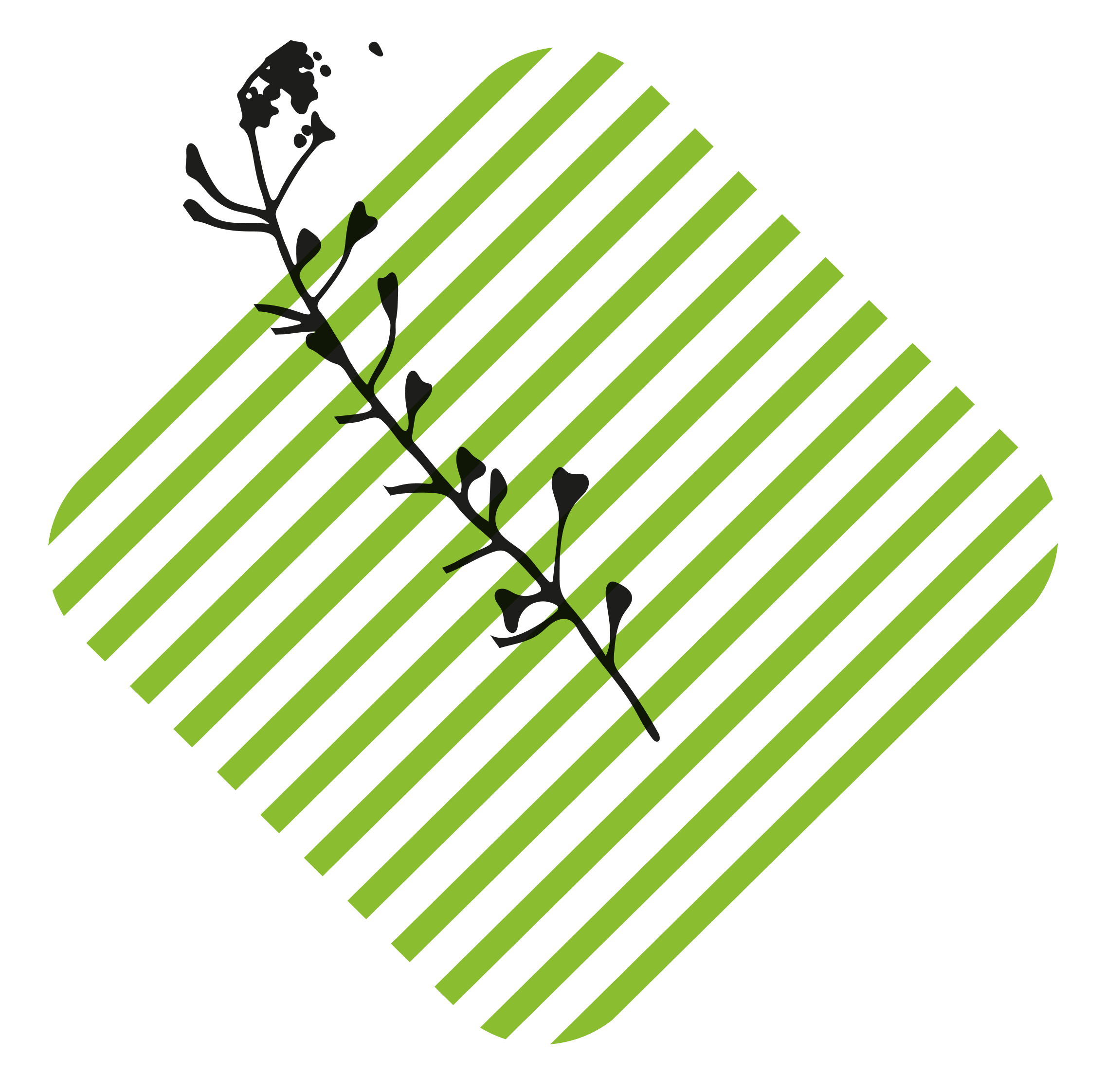 losange-hachure-vert-clair-et-illustration-plante