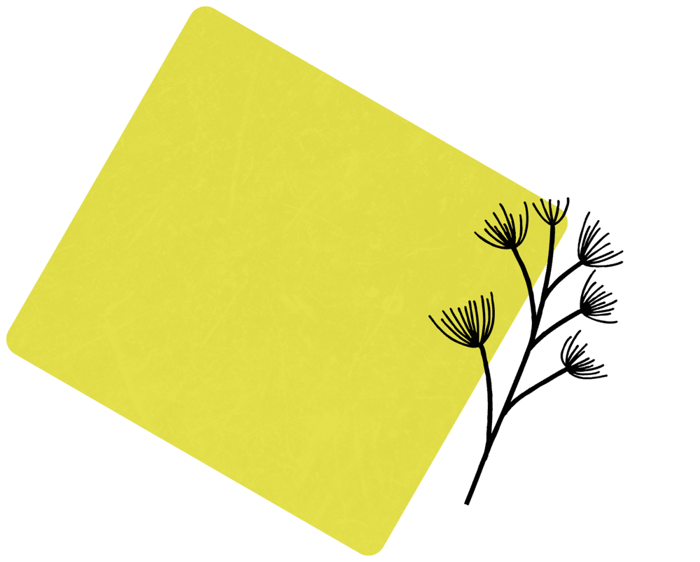 losange-jaune-plante (1)